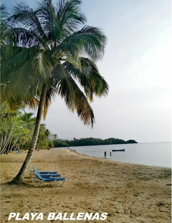 Saman Residences D3 Las Terrenas 0*,  Den Dominikanske Republik