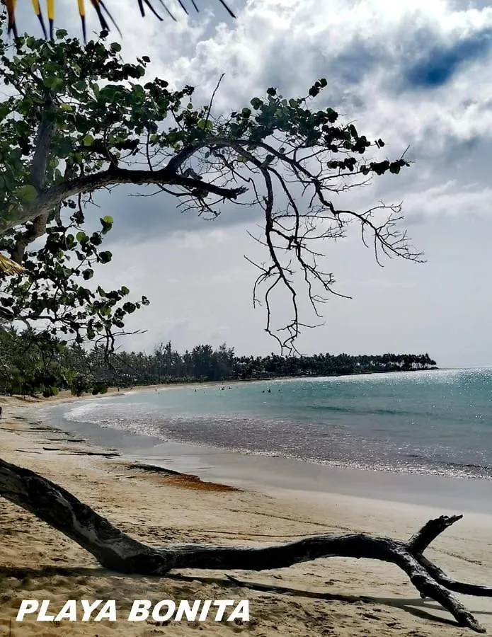 Lejlighed Saman Residences D3 Las Terrenas Den Dominikanske Republik